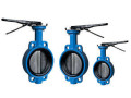 cast-iron-ci-valves-dealers-in-kolkata-small-0