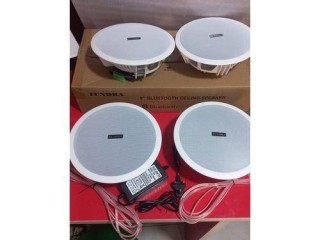 smart-celing-speakers