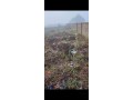 uncompleted-building-on-2-plot-of-land-small-3