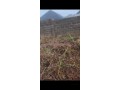 uncompleted-building-on-2-plot-of-land-small-1