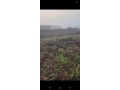 uncompleted-building-on-2-plot-of-land-small-4