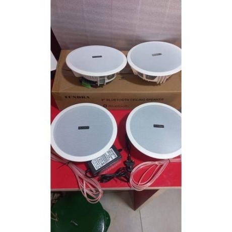 bluetooth-ceiling-speakers-big-3