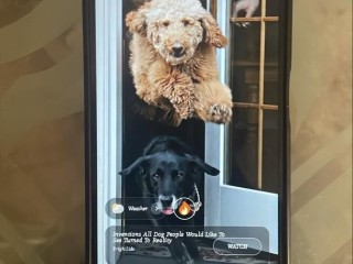 redmi-13c