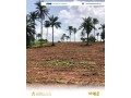 prime-land-for-sale-ijaiye-morile-ibadan-loraland-small-2