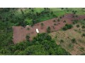 prime-land-for-sale-ijaiye-morile-ibadan-loraland-small-0
