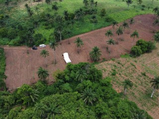 prime-land-for-sale-ijaiye-morile-ibadan-loraland