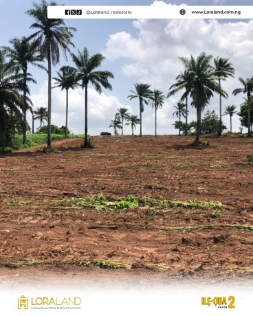 prime-land-for-sale-ijaiye-morile-ibadan-loraland-big-2