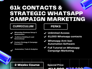 61k-nigerian-phone-numbers-for-promotion-real-people-real-engagement