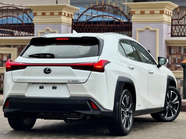 lexus-ux250h-2019-big-1